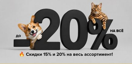 EZOO ДНИ